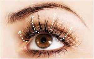 Kỹ thuật nối mi Katun