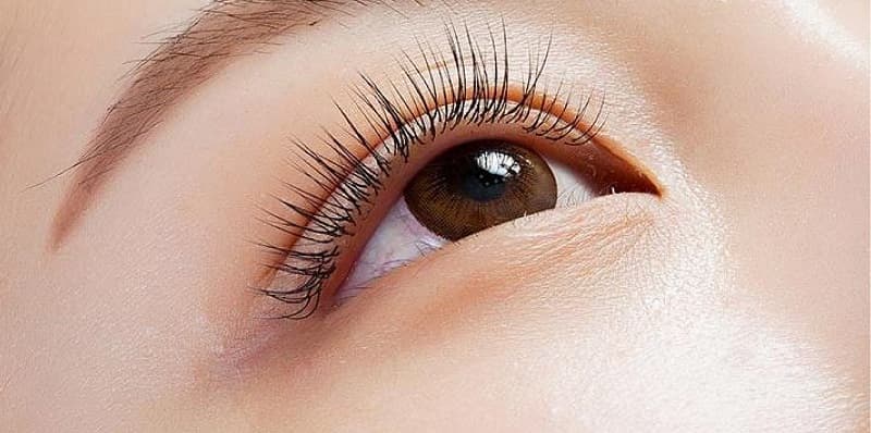 nối mi nào đẹp nhất